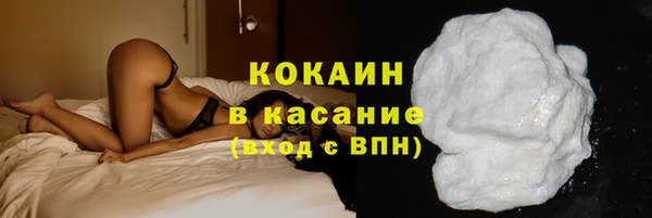 мдпв Пересвет