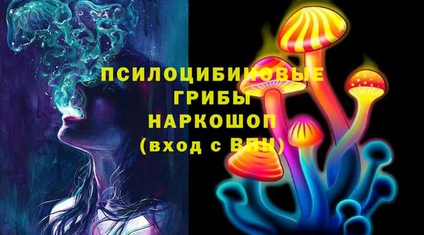 герыч Пестово