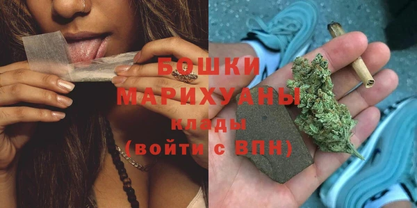 мдпв Пересвет