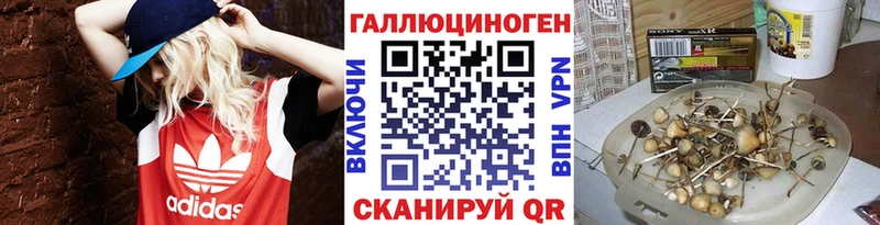 кракен рабочий сайт  Кострома  Псилоцибиновые грибы Cubensis 