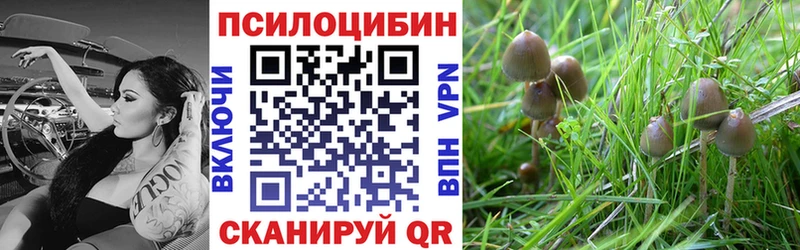 Галлюциногенные грибы мицелий Кострома