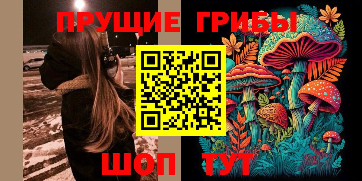Псилоцибиновые грибы Psilocybe Кострома