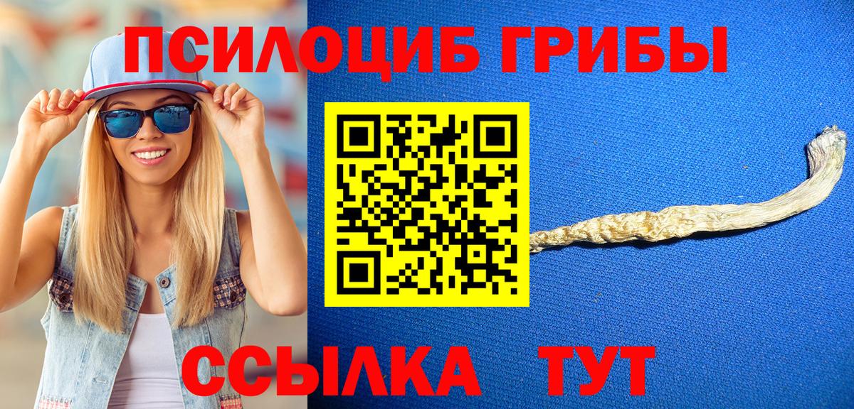 Кострома  Псилоцибиновые грибы мицелий  где можно купить   Вход с VPN  Галлюциногенные грибы прущие грибы 